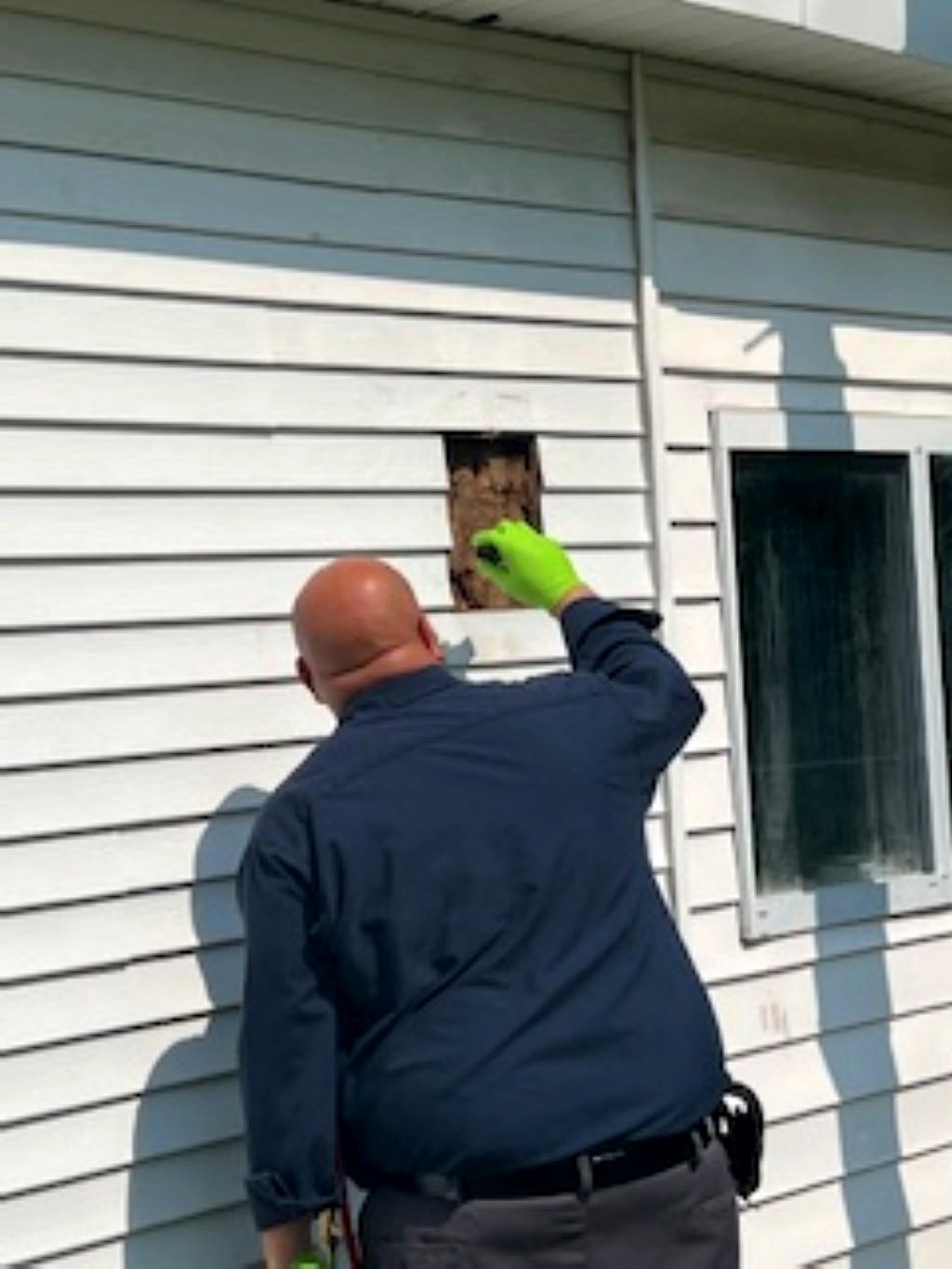 Paul, owner of Pest Xclusion Pros, inspecting inside a wall void through an opening in a home's siding during an entry-point check